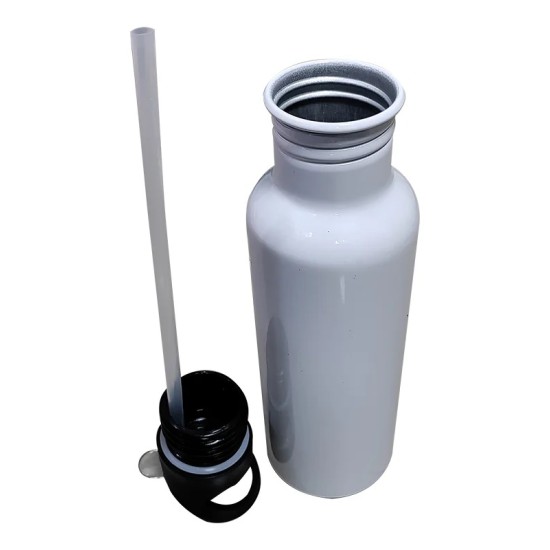 (Pack of 10) Sublimation Straw Bottle